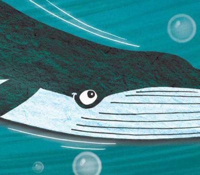 Tales of Tīkapa Moana