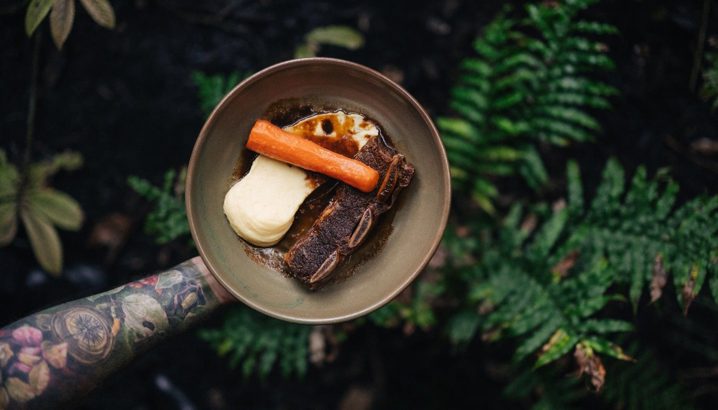 Our Land Is Alive Image 1