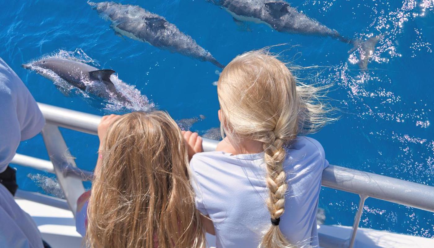 Children watching dolphins on Tikapa Moana Whale & Dolphin Cruise