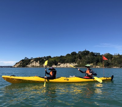 Social   Nature  Movement