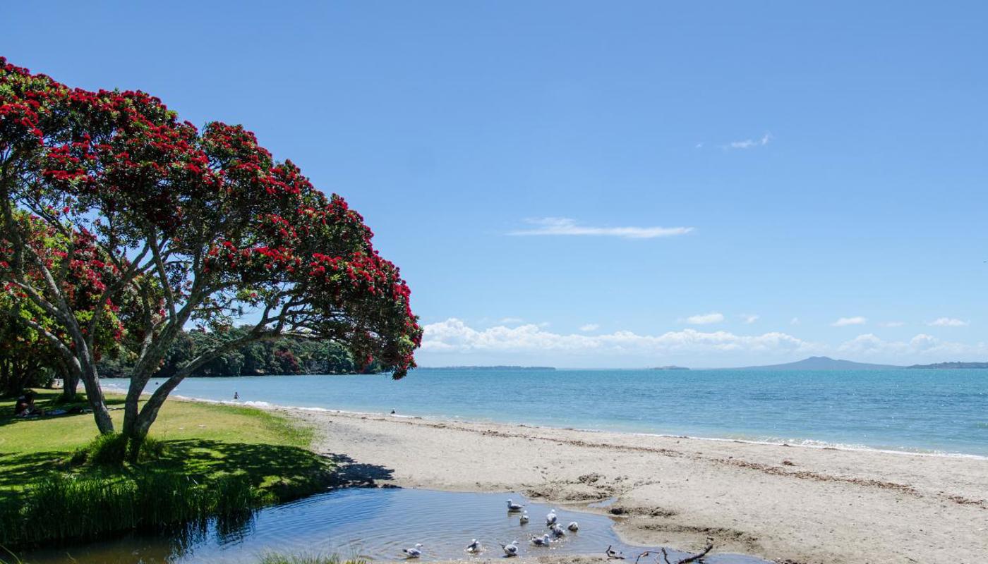 Auckland's beautiful coastline