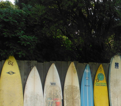 Auckland Surfboard Rentals
